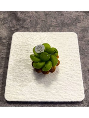 Shine Muscat Pudding Tart